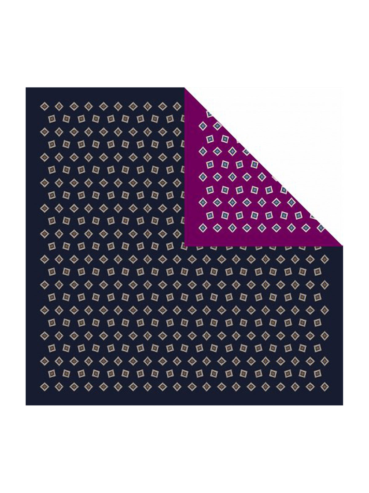 Barbieri Foulard Double Face Silk Scarf