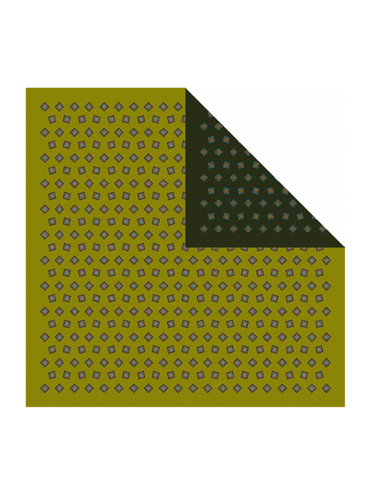 Barbieri Foulard Double Face Silk Scarf