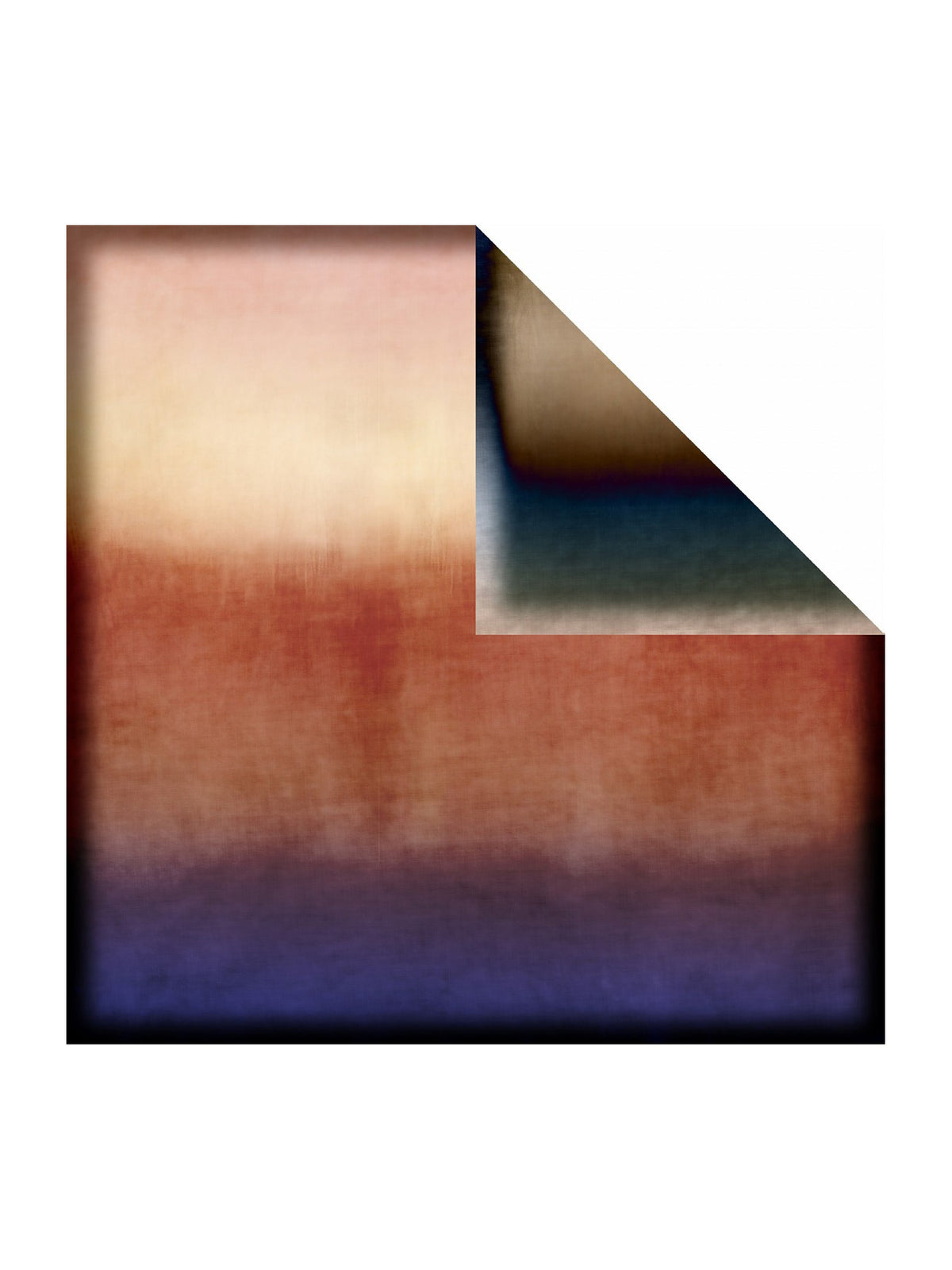 Barbieri Horizon Double Face Silk Scarf