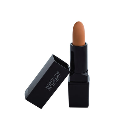 Concealer Corrector Stick