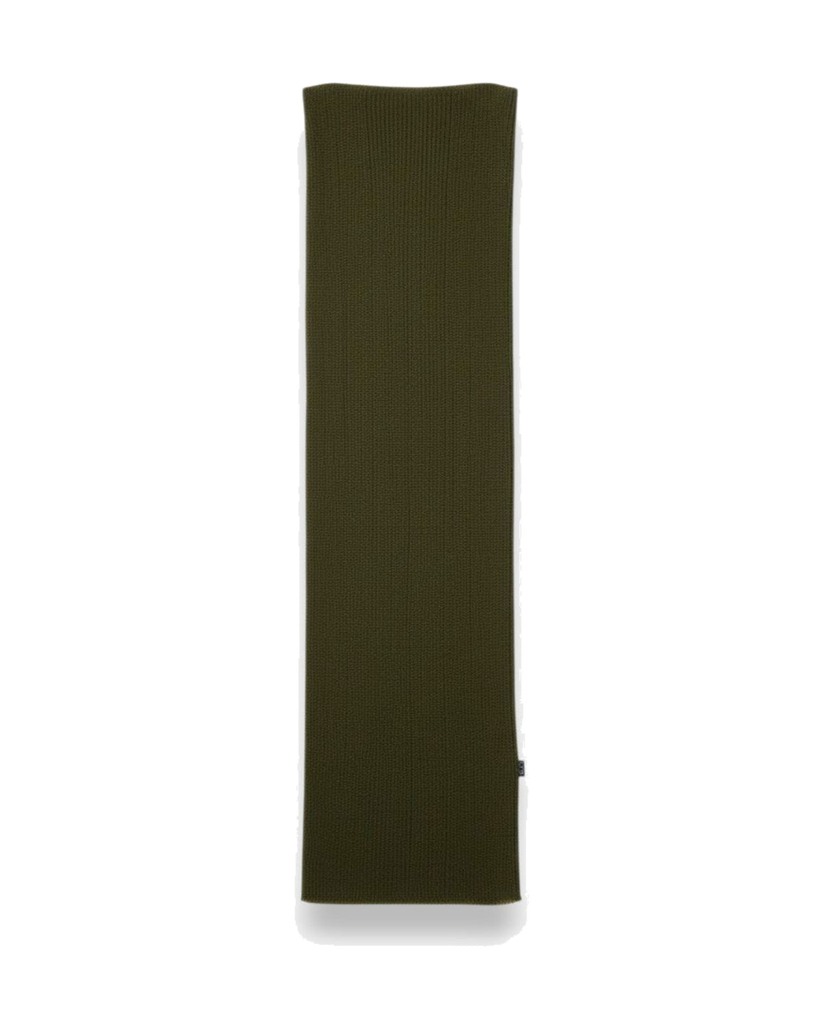 Barbieri Solid Wool - Silk Scarf in Olive green